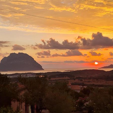 Holiday Homes Porto San Paolo  Dış mekan fotoğraf