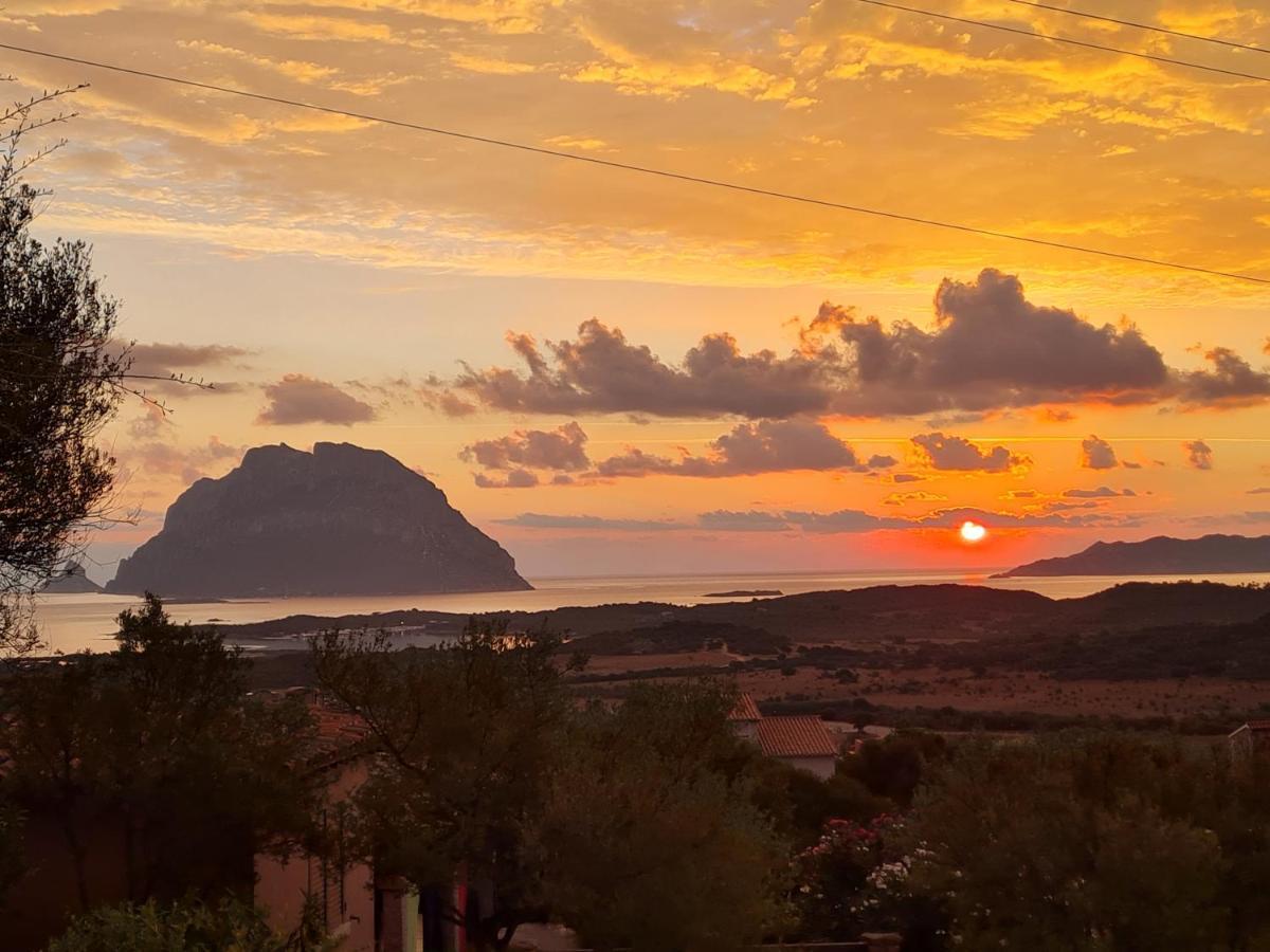 Holiday Homes Porto San Paolo  Dış mekan fotoğraf